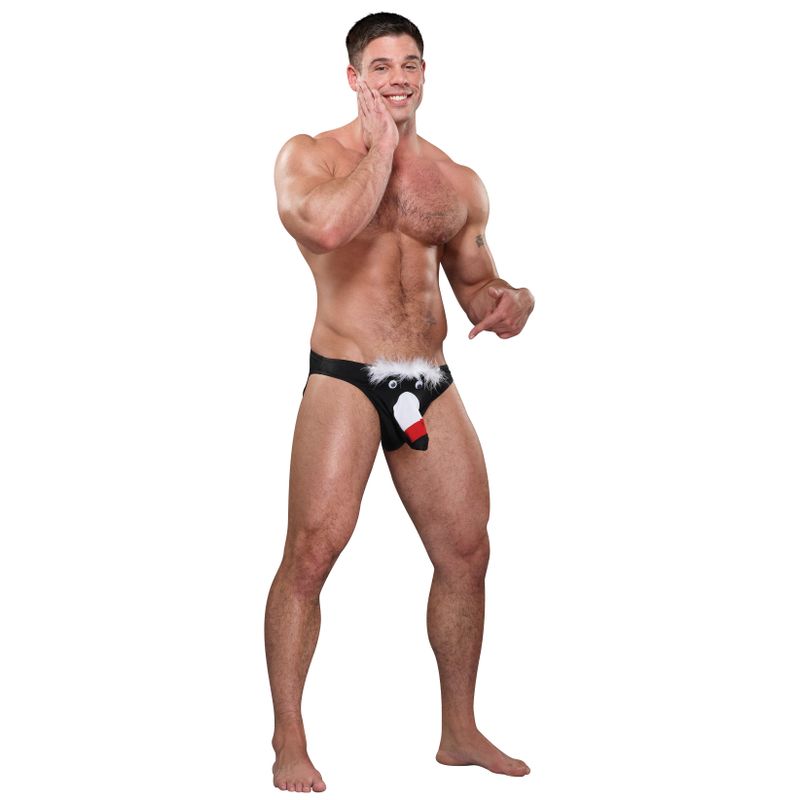 Toucan Bikini Novelty Underwear image 2