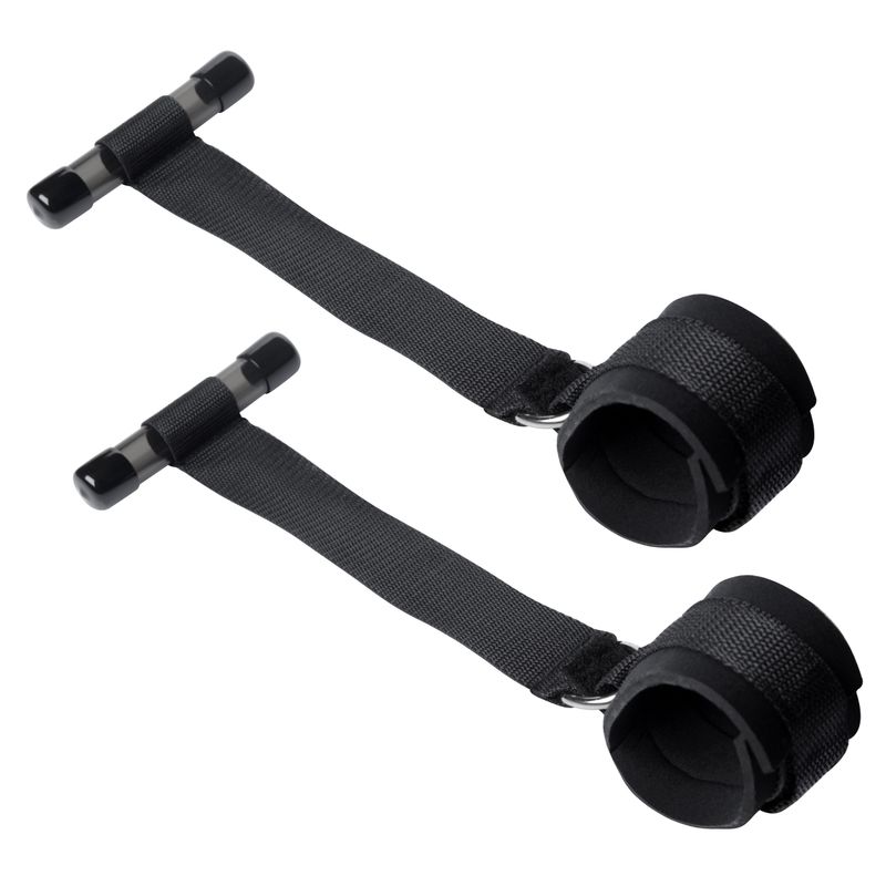 Entryway Door Restraints image 3