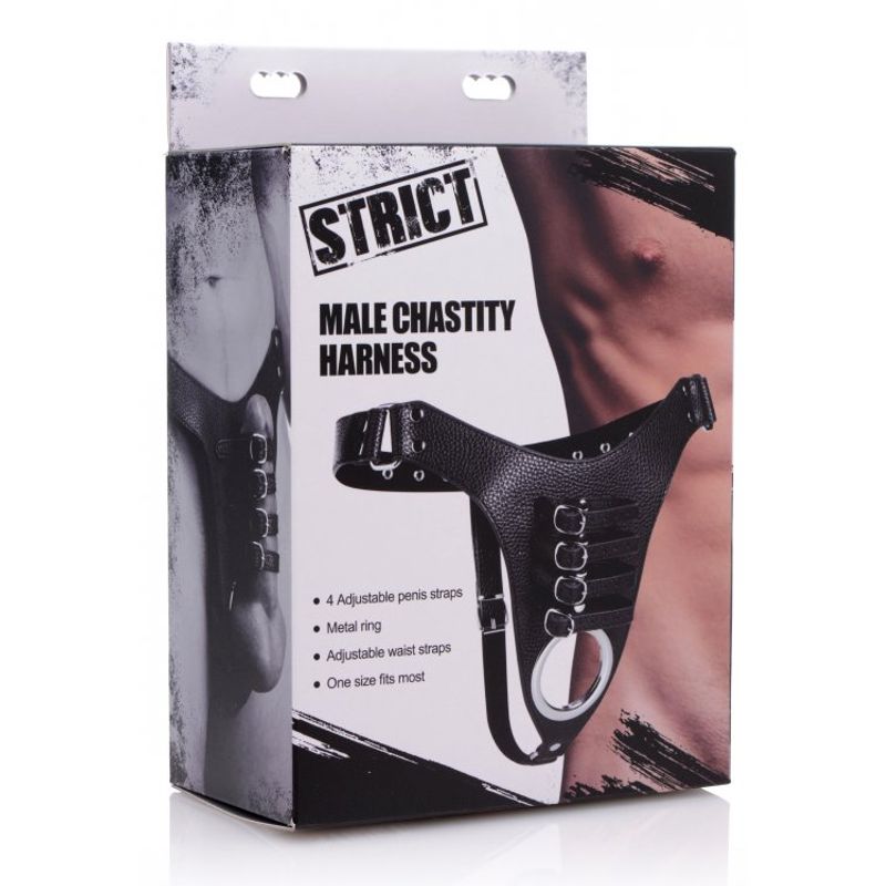 Male Chastity Harness image 1