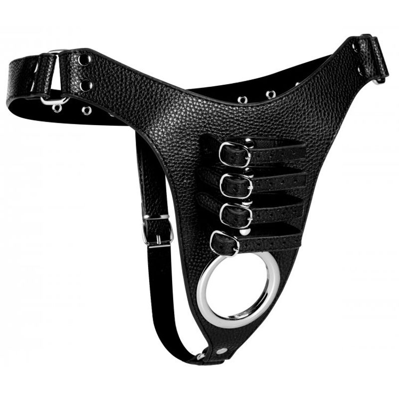 Male Chastity Harness image 3