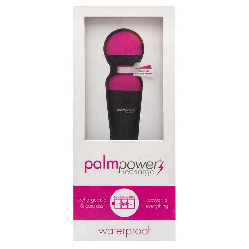 PalmPower Massage Wand Recharge Waterproof image 1