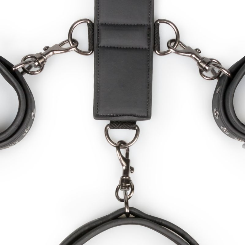 Neck and Wrist Restraint image 3