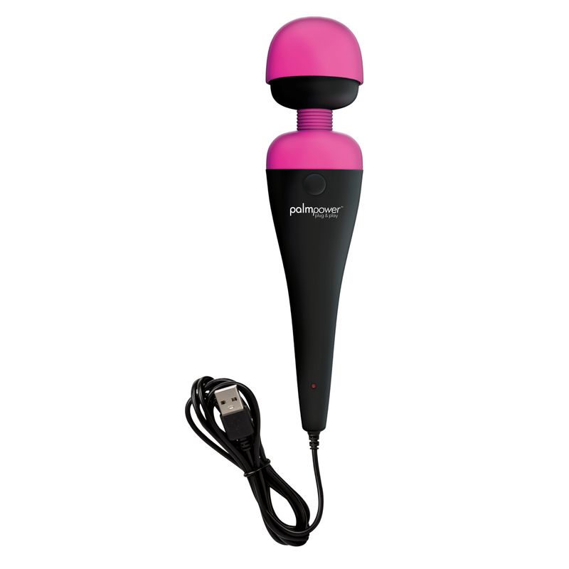PalmPower Massage Wand Plug and Play USB image 1