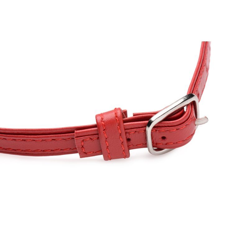 Fiery Pet Leather Choker w Silver Ring Red image 4