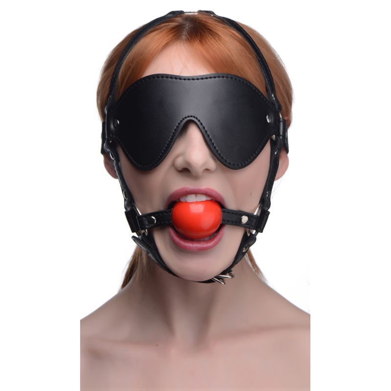 Blindfold Harness w Ball Gag image 1