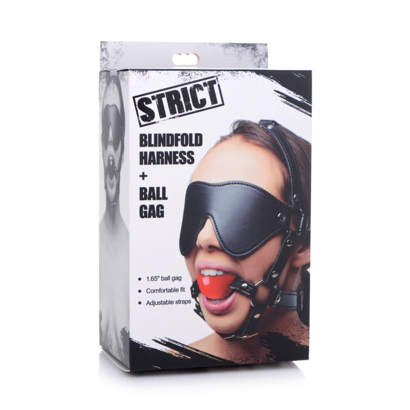 Blindfold Harness w Ball Gag image 2