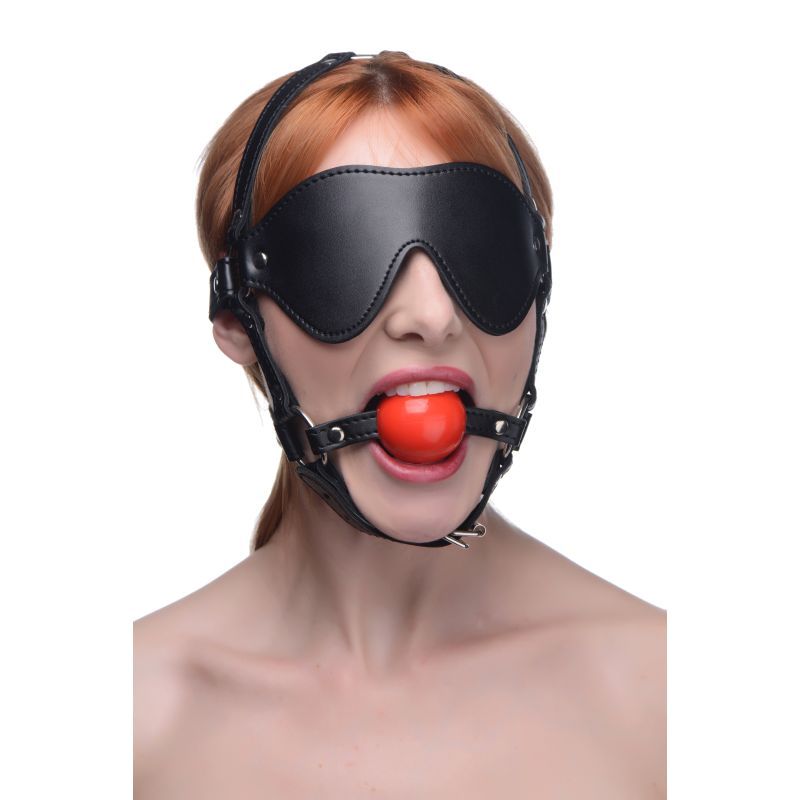 Blindfold Harness w Ball Gag image 3