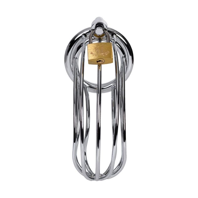Silver Metal Birdcage Cock Cage image 1