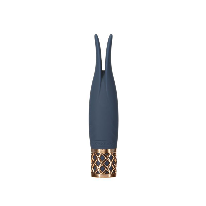 Pillow Talk Secrets Playful Massager image 1