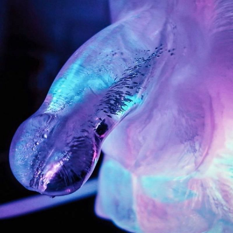 Play Wiv Me Huge Penis Ice Luge Mould image 4