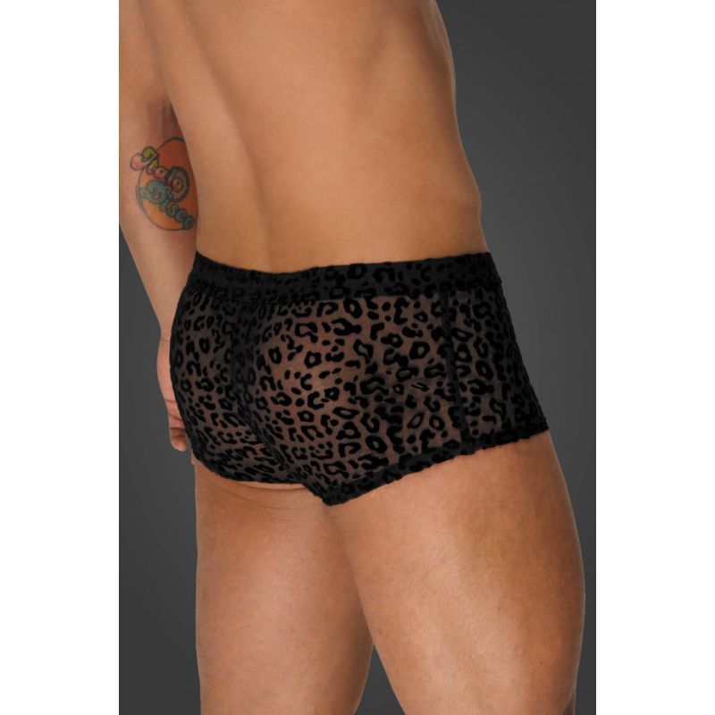 Leopard Flock Short Shorts image 2