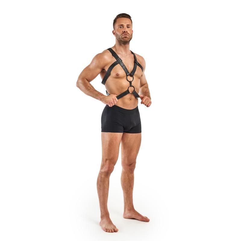 Rocco Bondage Harness Black image 2