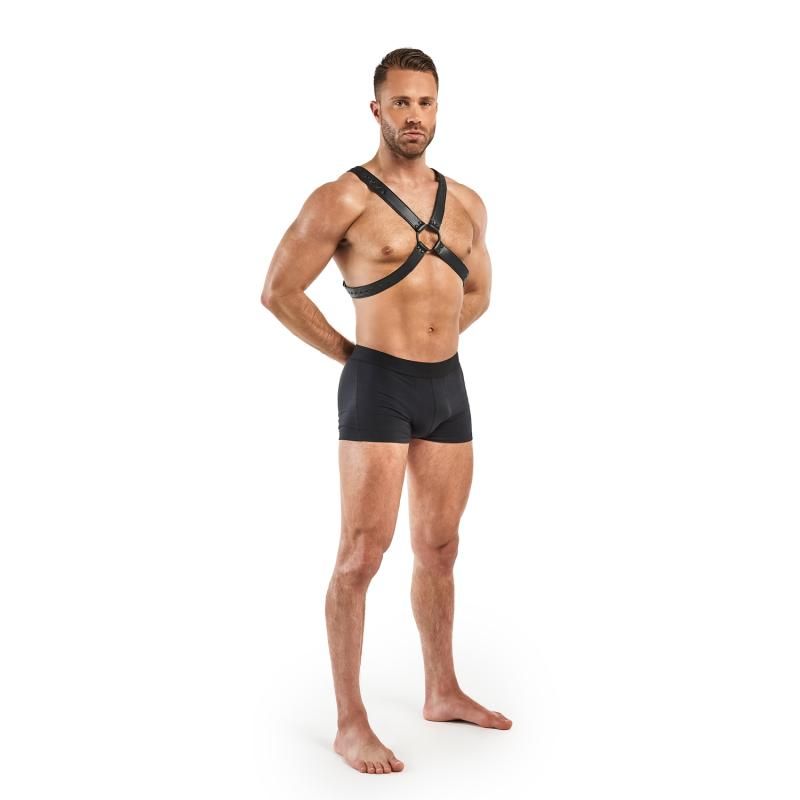 Lionel Bondage Harness Black image 3
