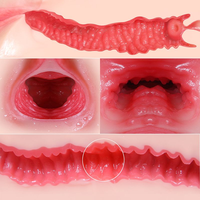 Maria Onahole 3 Butt 1:1 Vaginal and Anal Torso image 5