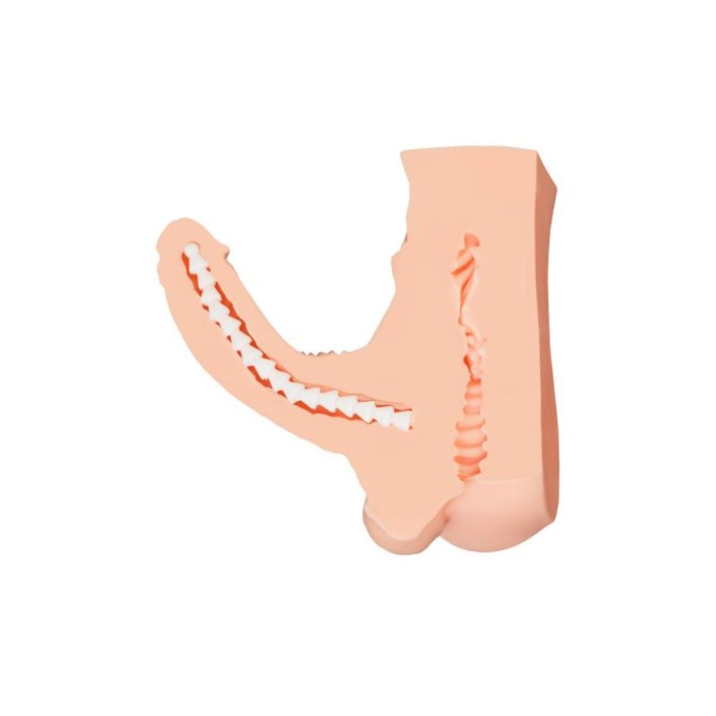 Juicy Long Schlong Manuel - Penis, Anal and Balls Torso image 5