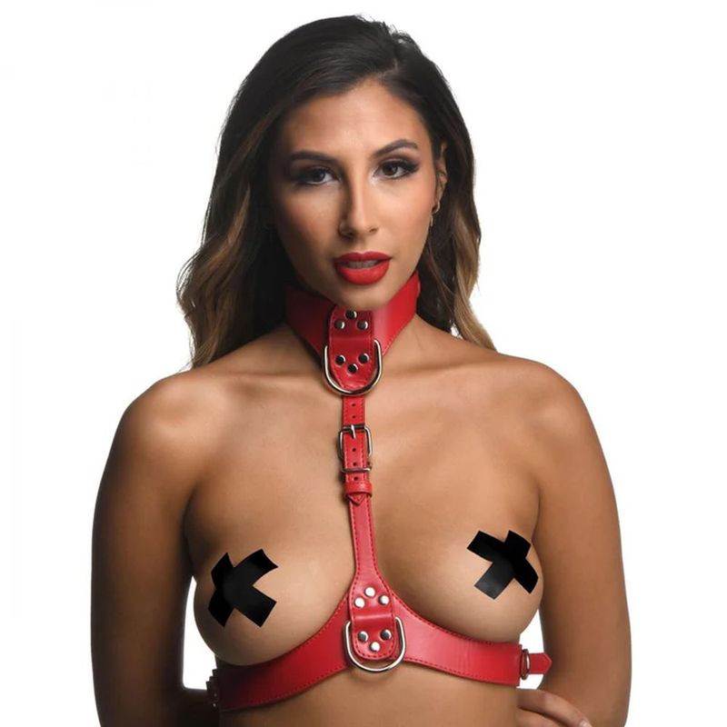 Red Female Chest Harness M/L image 2