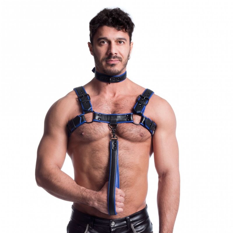 Vegan Bulldog Harness Black and Blue image 2
