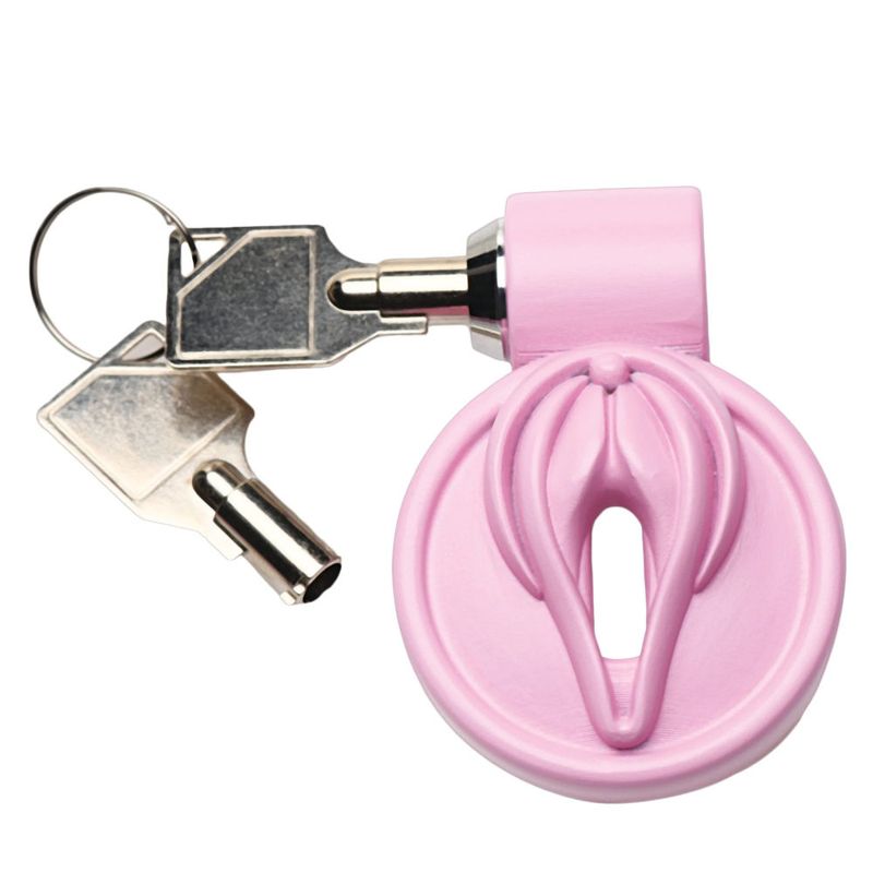 Pussification Vulva Chastity Cage image 1